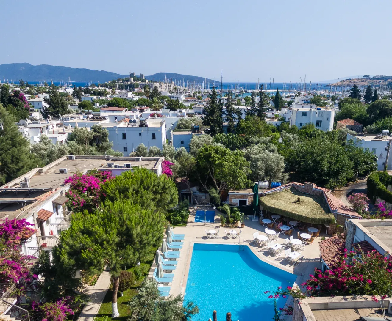 Moonshine Hotel – Sosyal Medya & Reklam Yönetimi